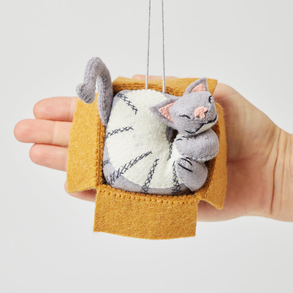 Cat in a Box Ornament