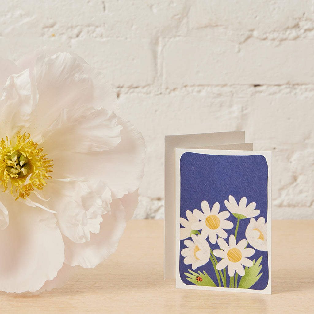 Daisy Greeting Card