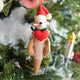 Craftspring’s Santa Otter Love Ornament — a sweet otter wearing a Santa hat and holding a heart, detailed with soft embroidered holiday accents — displayed on a glowing Christmas tree, bringing warm, whimsical charm and gift-ready Christmas joy to festive decorating, ethically crafted by artisans using sustainable wool.