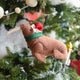 Craftspring’s Santa Walrus Ornament — a charming walrus wearing a Santa hat and a cozy holiday scarf with embroidered details — displayed on a glowing Christmas tree, bringing whimsical warmth, festive delight, and gift-ready Christmas cheer, ethically crafted by artisans using sustainable wool.