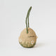 Flower Field Egg Basket