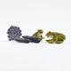 Life Cycle of a Frog Learning Kit
