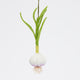 Fair trade felt garlic plant ornament – made from locally sourced merino-blend wool in Kyrgyzstan.