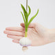 Hand-felted garlic plant ornament with wool bulb and curled scape – handmade wool holiday decor from the Gardening Collection.