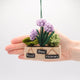 Felted kitchen garden ornament with soft wool basil, chives, and rosemary in a handmade pot