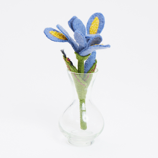 Iris Flower with Firefly & Vase