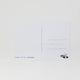 Roaches of NYC Postcard