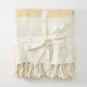 Silk Rainbow Chevron Throw