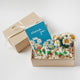 Thanks Gift Box Set featuring a felt strawberry ornament, white daisy flower bouquet in a glass vase, and a thank-you bouquet greeting card. Handmade from wool felt. Eco-friendly, fair trade, and ready to gift.