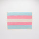 Trans Pride Flag Ornament