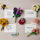 Flower Friends Note Cards - Set of 4