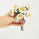 Charming white felt daisies in clear glass bud vase – everlasting floral gift