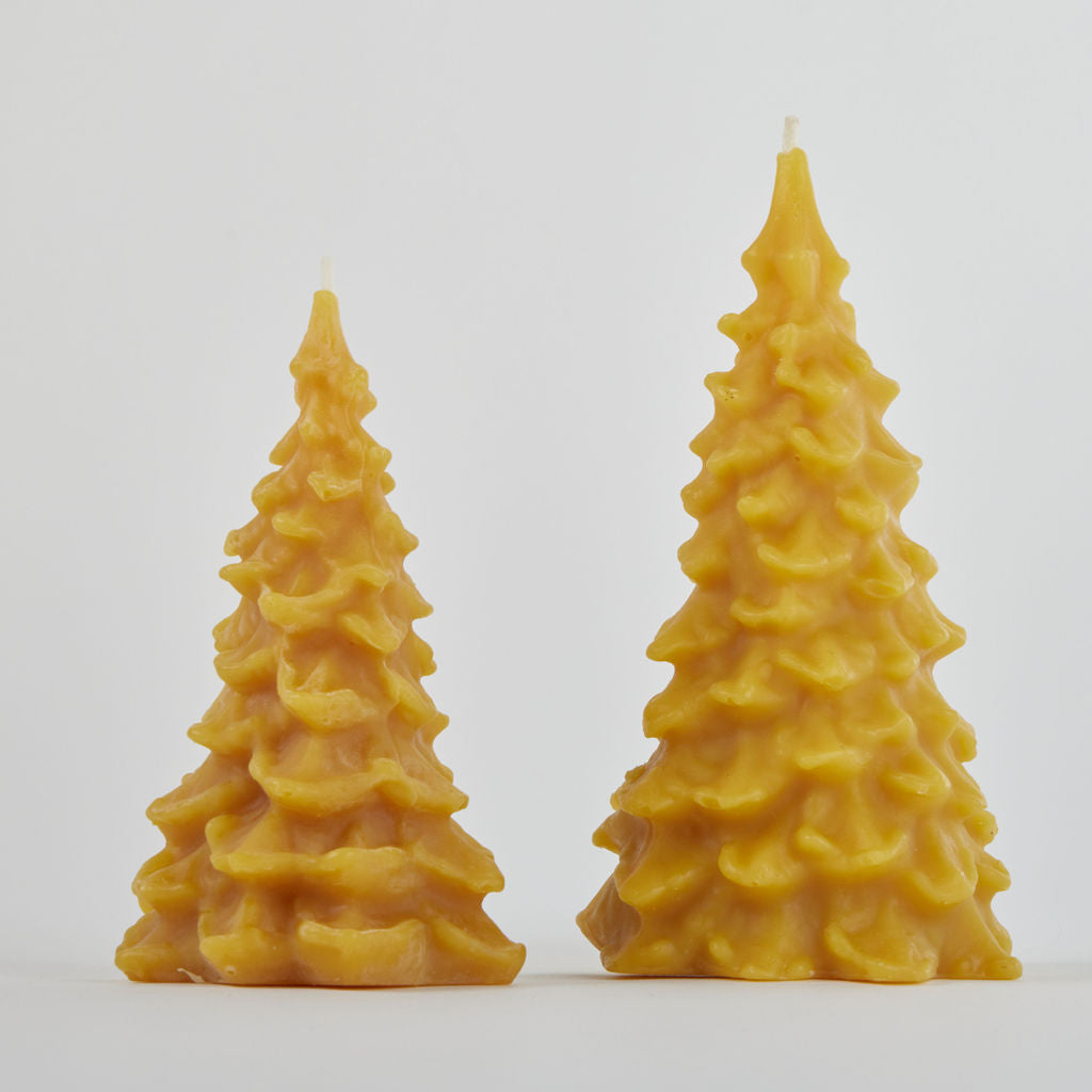 Small Natural Evergreen Tree Candle