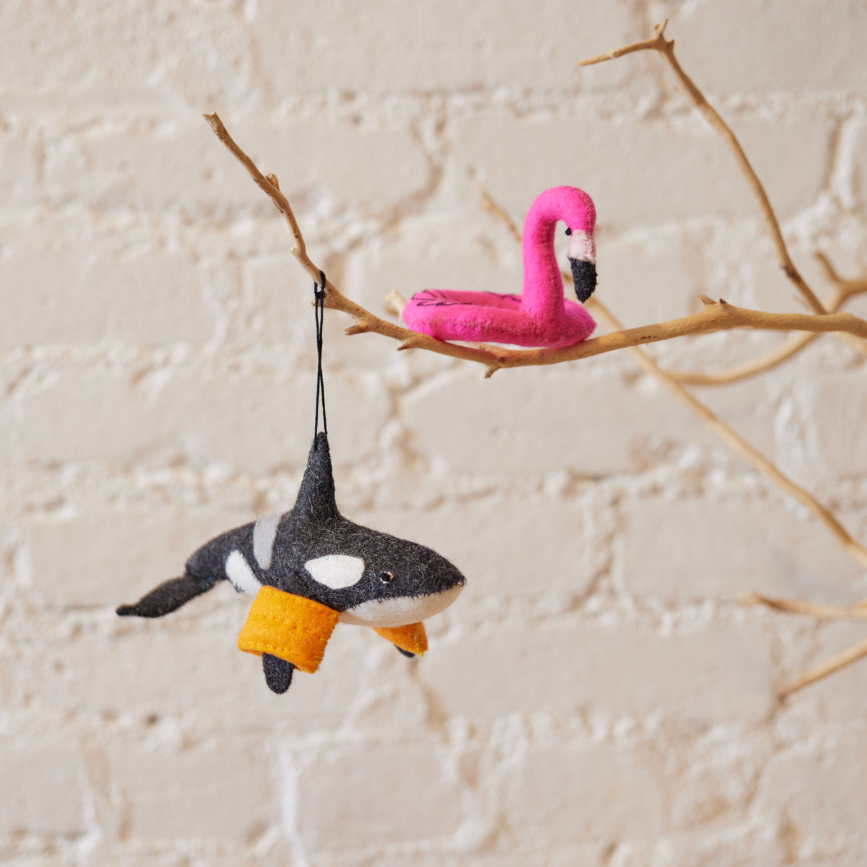 DIY Orca Download