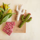 Eggshell Majestic Saguaro Cactus Ornament