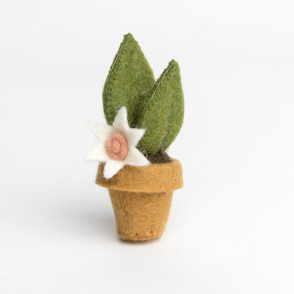 Blooming Snake Plant Ornament