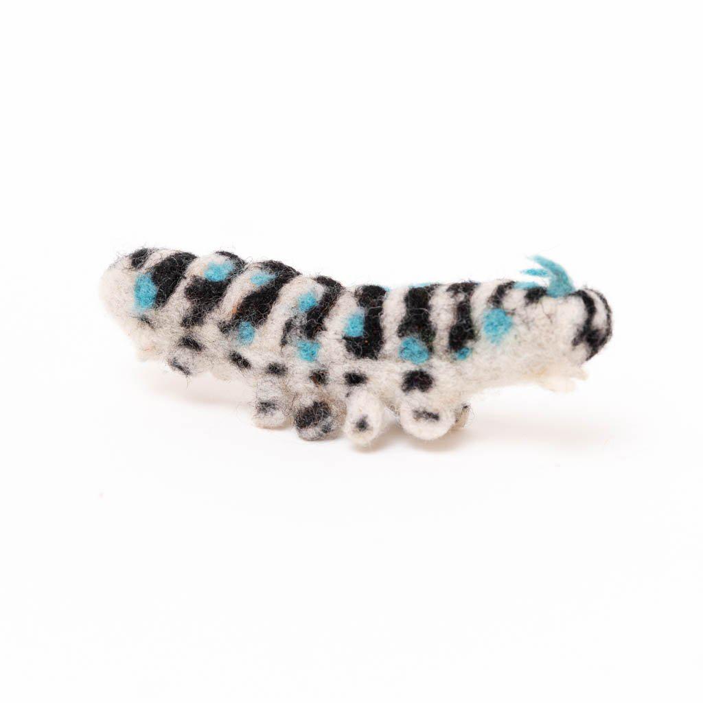 Life Cycle of a Monarch Butterfly Learning Kit