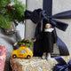 Justice RBG Ornament