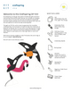 DIY Orca Download