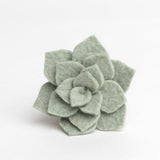 Sage Desert Rose Ornament