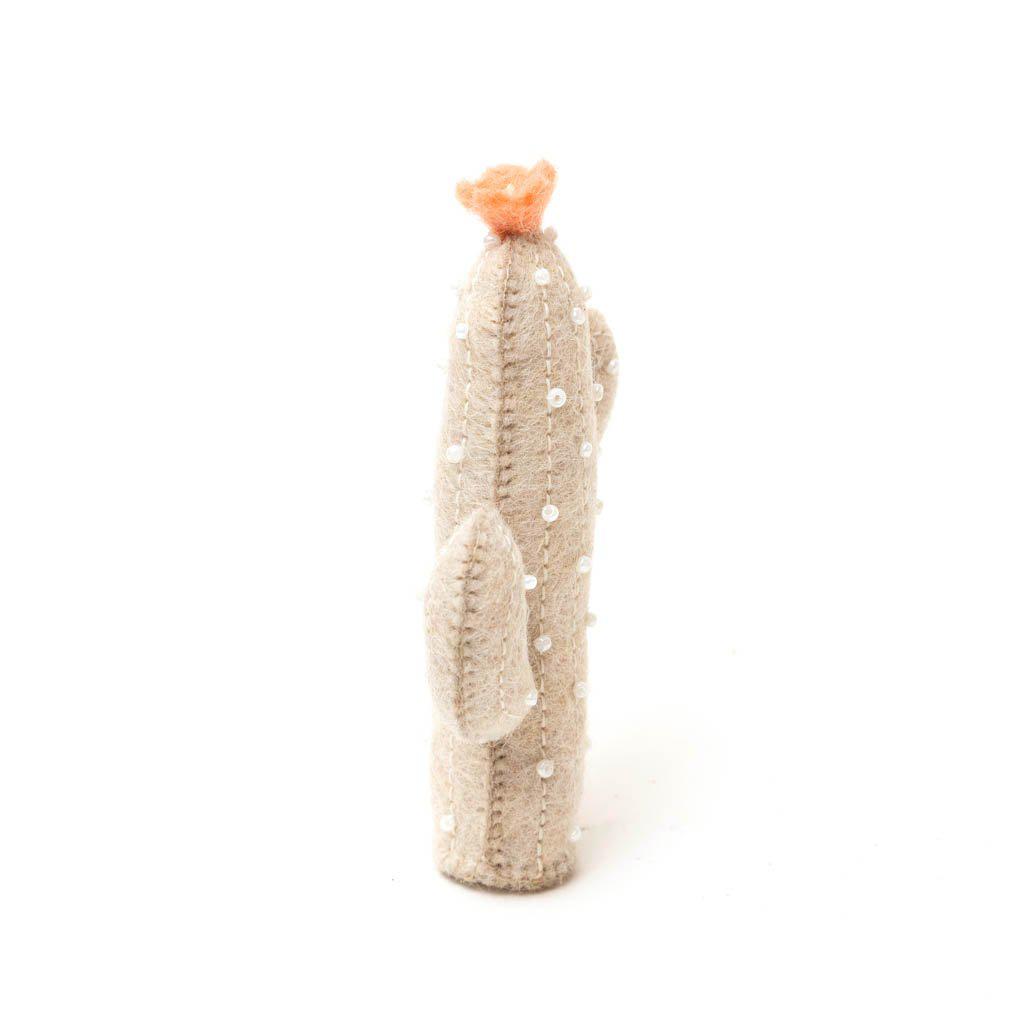 Eggshell Desert Magic Cactus Ornament