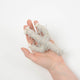 Eggshell Majestic Saguaro Cactus Ornament