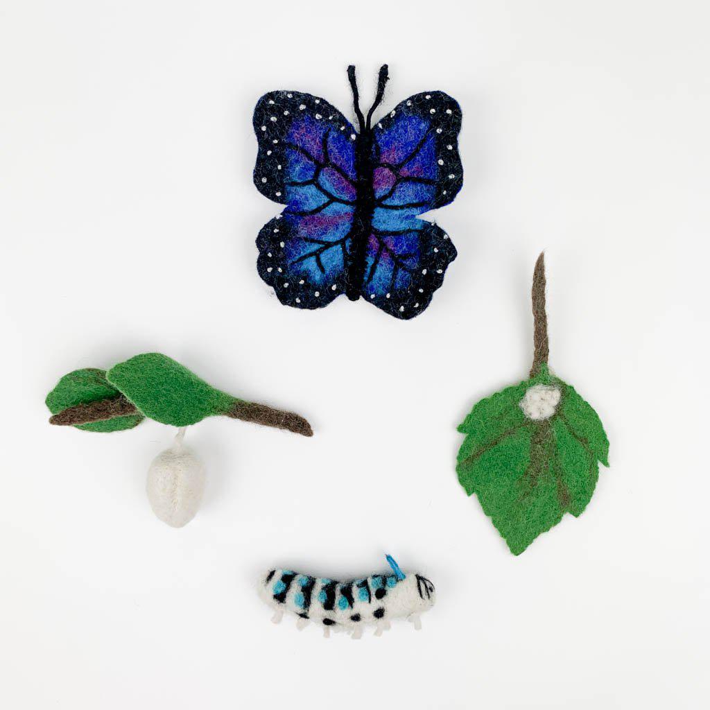 Life Cycle of a Blue Morpho Butterfly Learning Kit