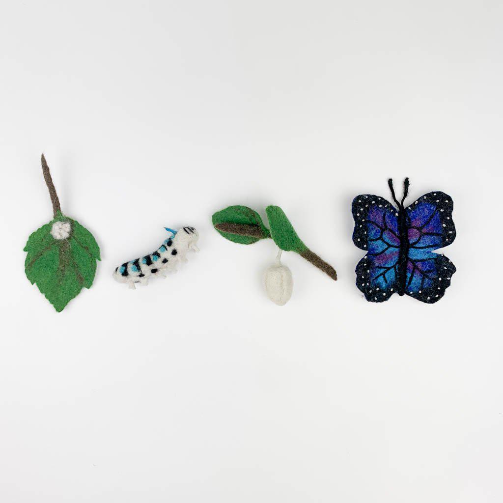Life Cycle of a Blue Morpho Butterfly Learning Kit