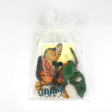 Life Cycle of a Monarch Butterfly Learning Kit