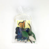 Life Cycle of a Blue Morpho Butterfly Learning Kit