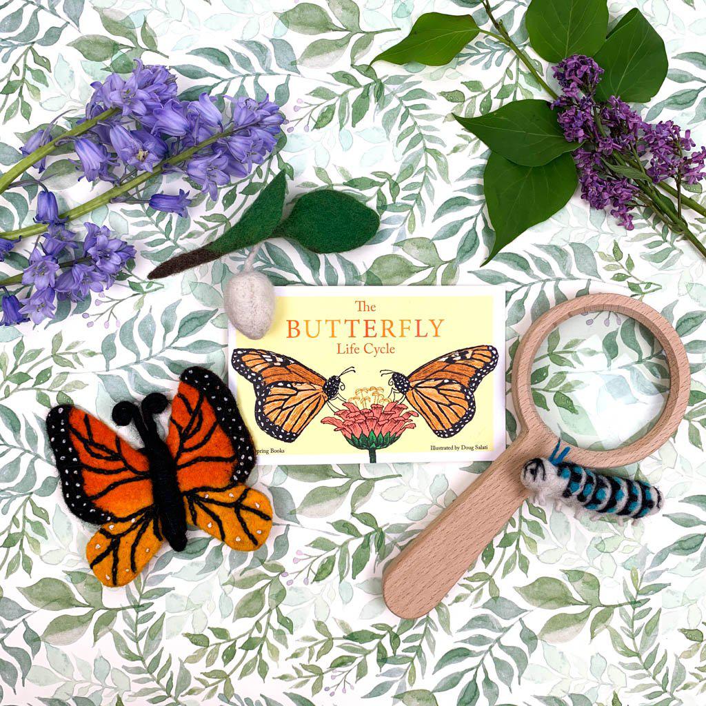 Life Cycle of a Monarch Butterfly Learning Kit