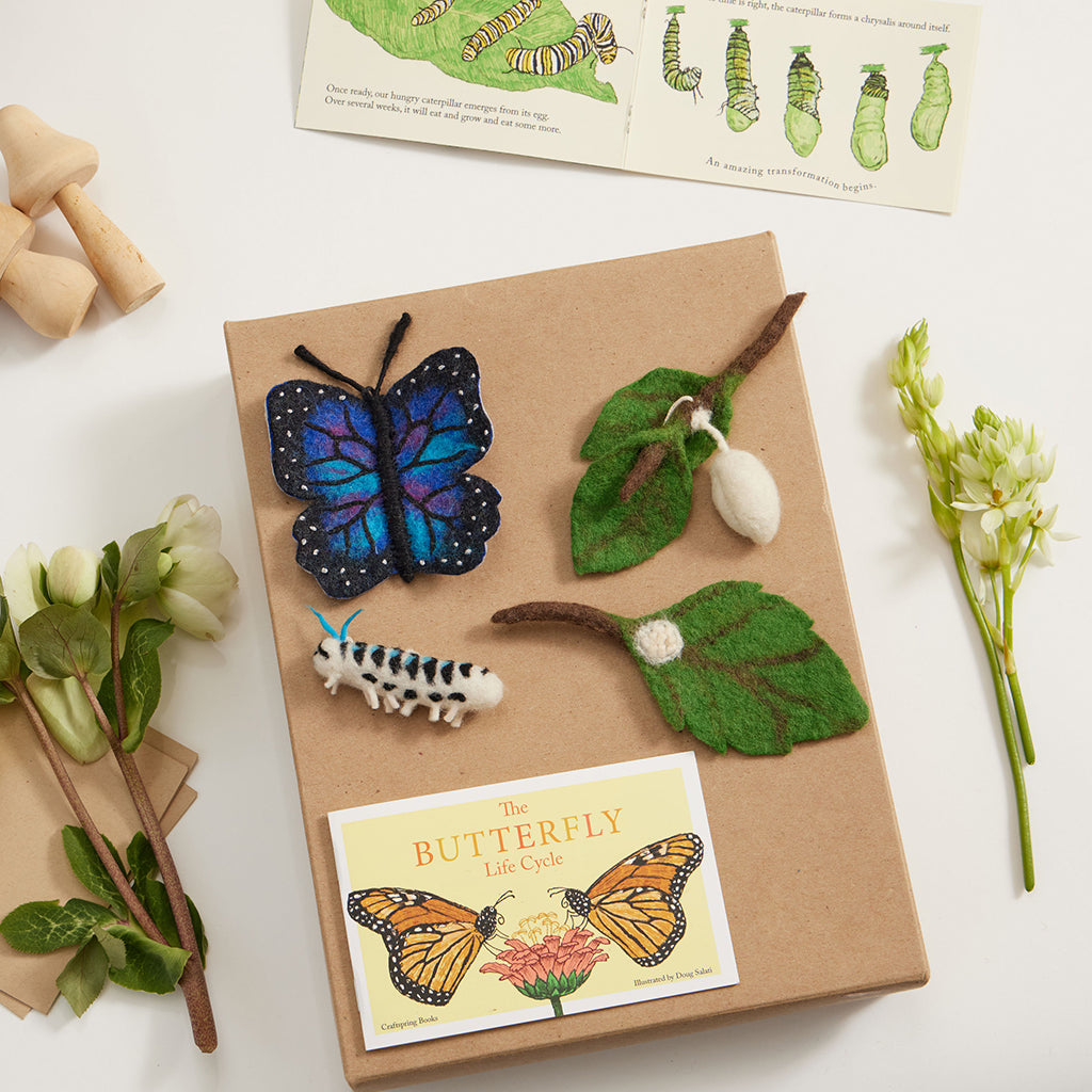 Life Cycle of a Blue Morpho Butterfly Learning Kit