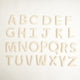 Natural Letter Ornaments