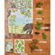Growth Cycle of an Oak Tree Learning Kit