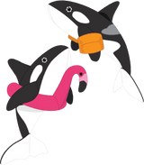 DIY Orca Download