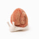Pink Slow Living Snail Ornament