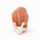 Pink Slow Living Snail Ornament