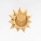 Solar Return Sun Blessings Ornament