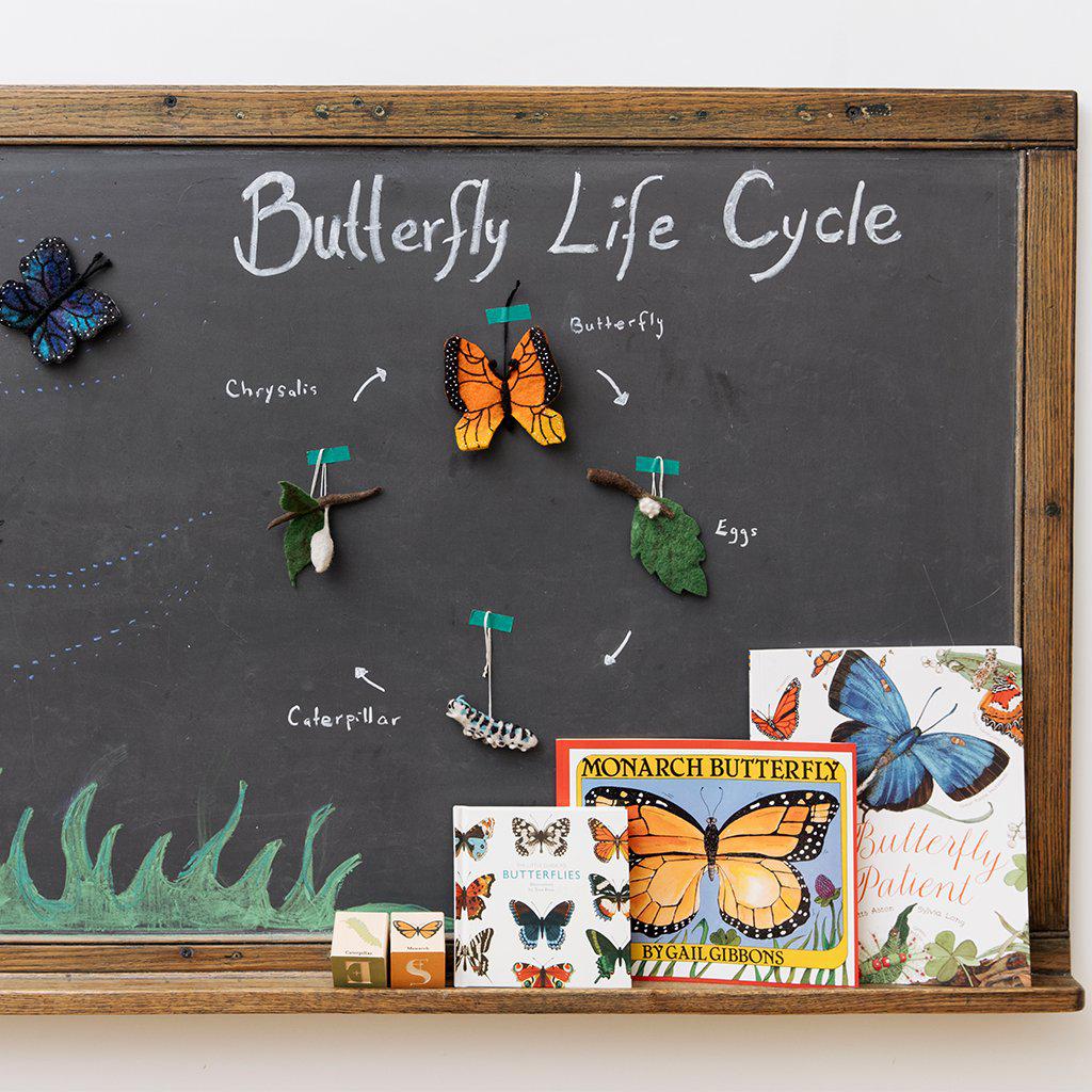 Life Cycle of a Monarch Butterfly Learning Kit