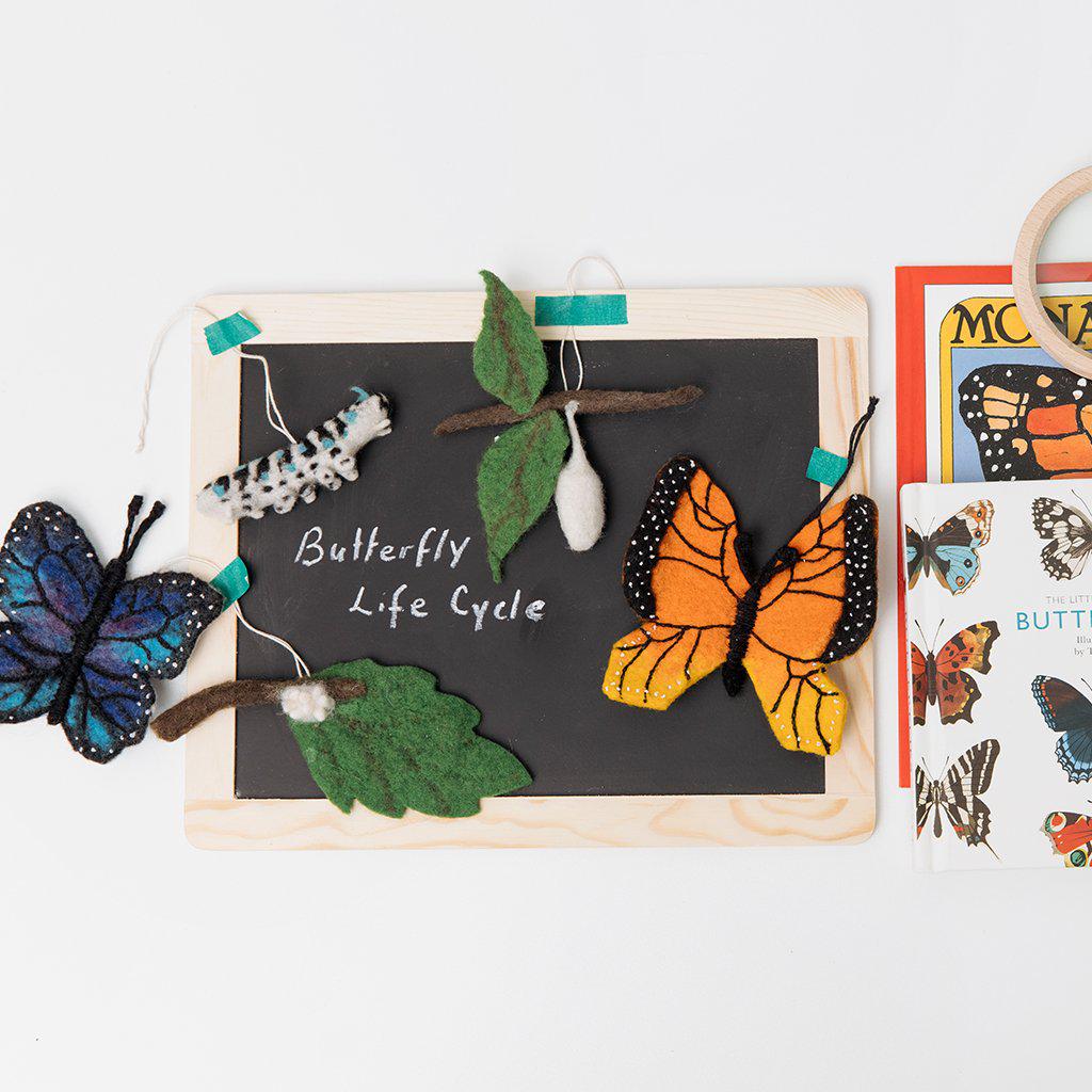 Life Cycle of a Monarch Butterfly Learning Kit